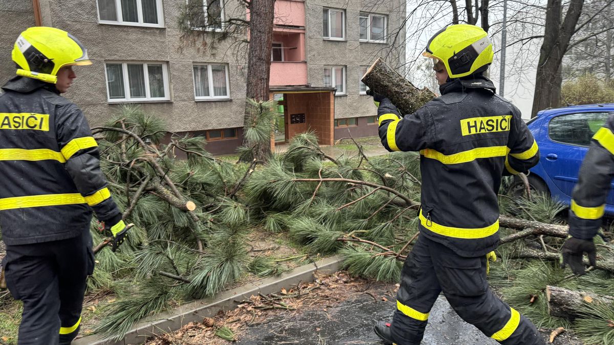 Střední a severní Moravu a Slezsko zasáhl silný vichr, ničil hlavně stromy
